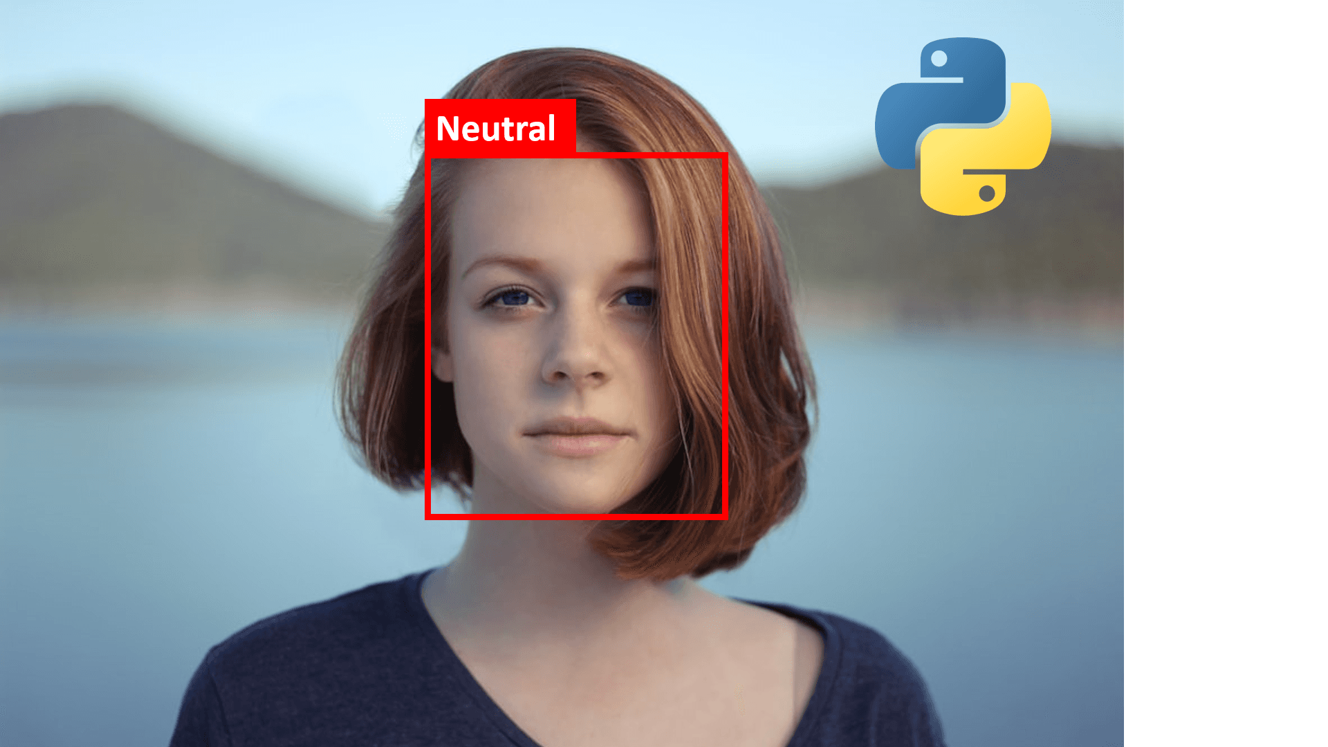 Sentiment Analysis using Python